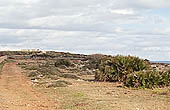 Vendicari nature reserve